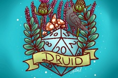 druid_screen