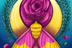 rosy